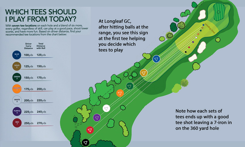Zeven verschillende teekleuren
