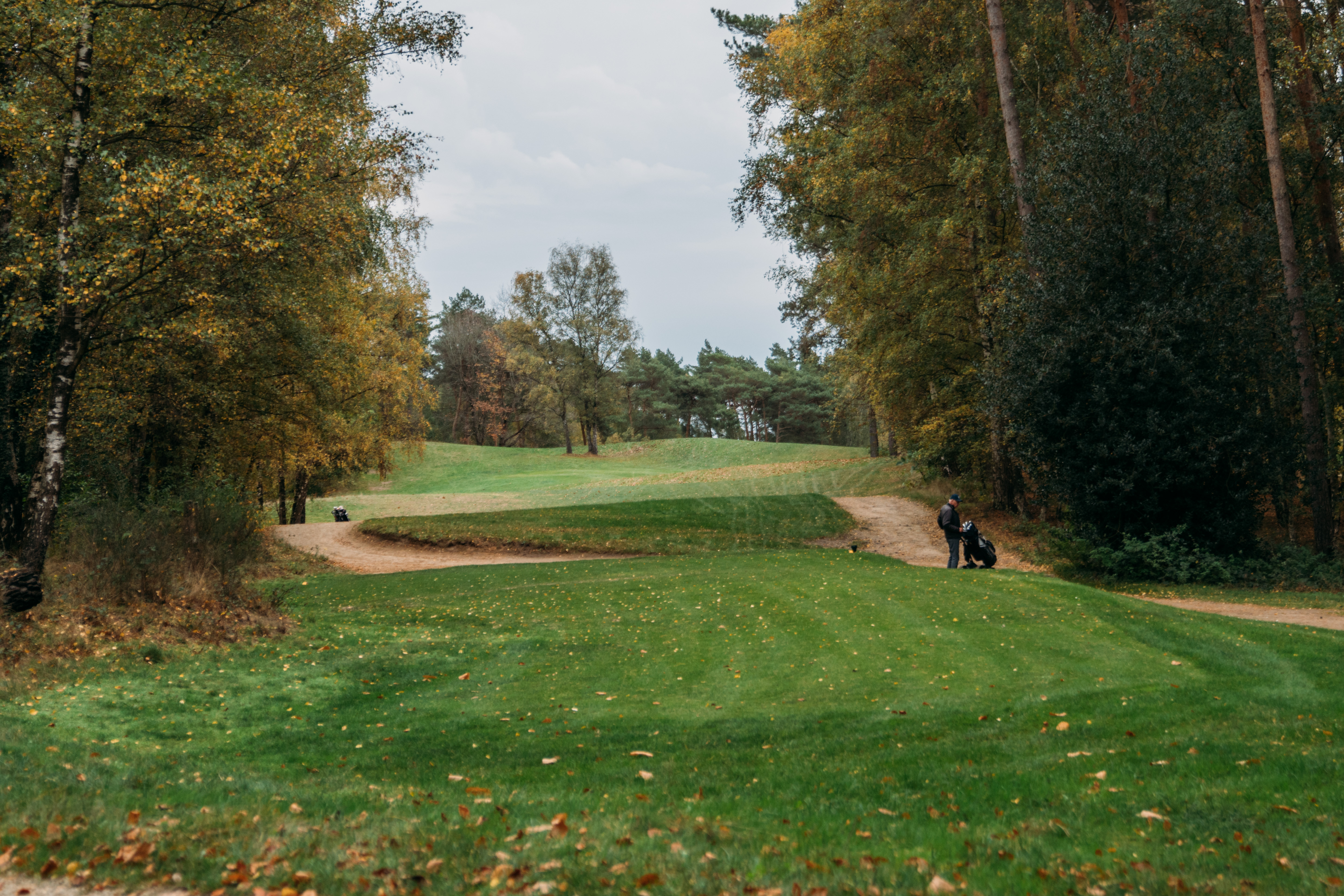 Golf & Country Club de Herkenbosche: 'Je oren suizen in de stilte van het bos'