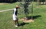 Aangepaalde boom golfregels