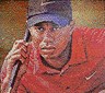 Muurschildering golftees Tiger Woods