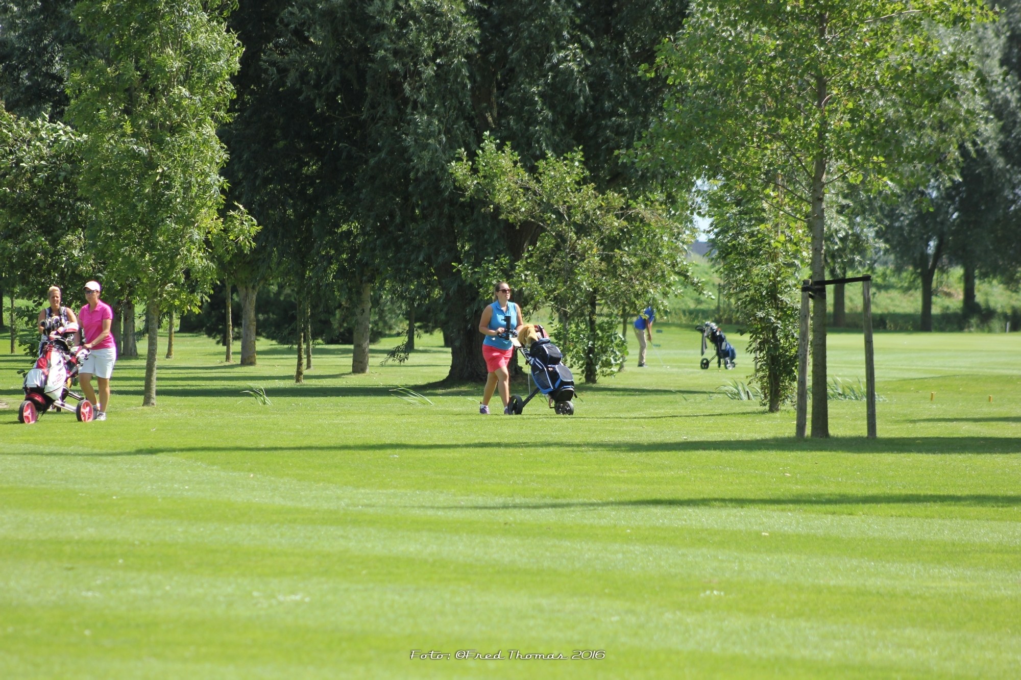 Strijensche Open begin september • Golf.nl