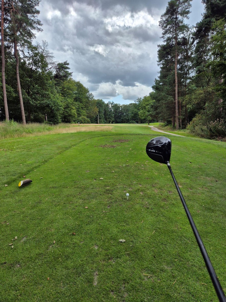 Roy slaat af vanaf geel met driver
