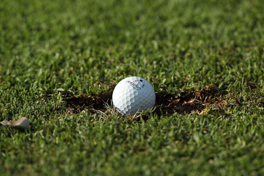 Bal in divot