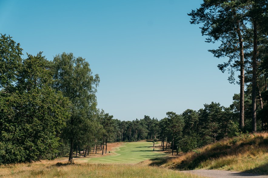 Rosendaelsche Golfclub hole 14