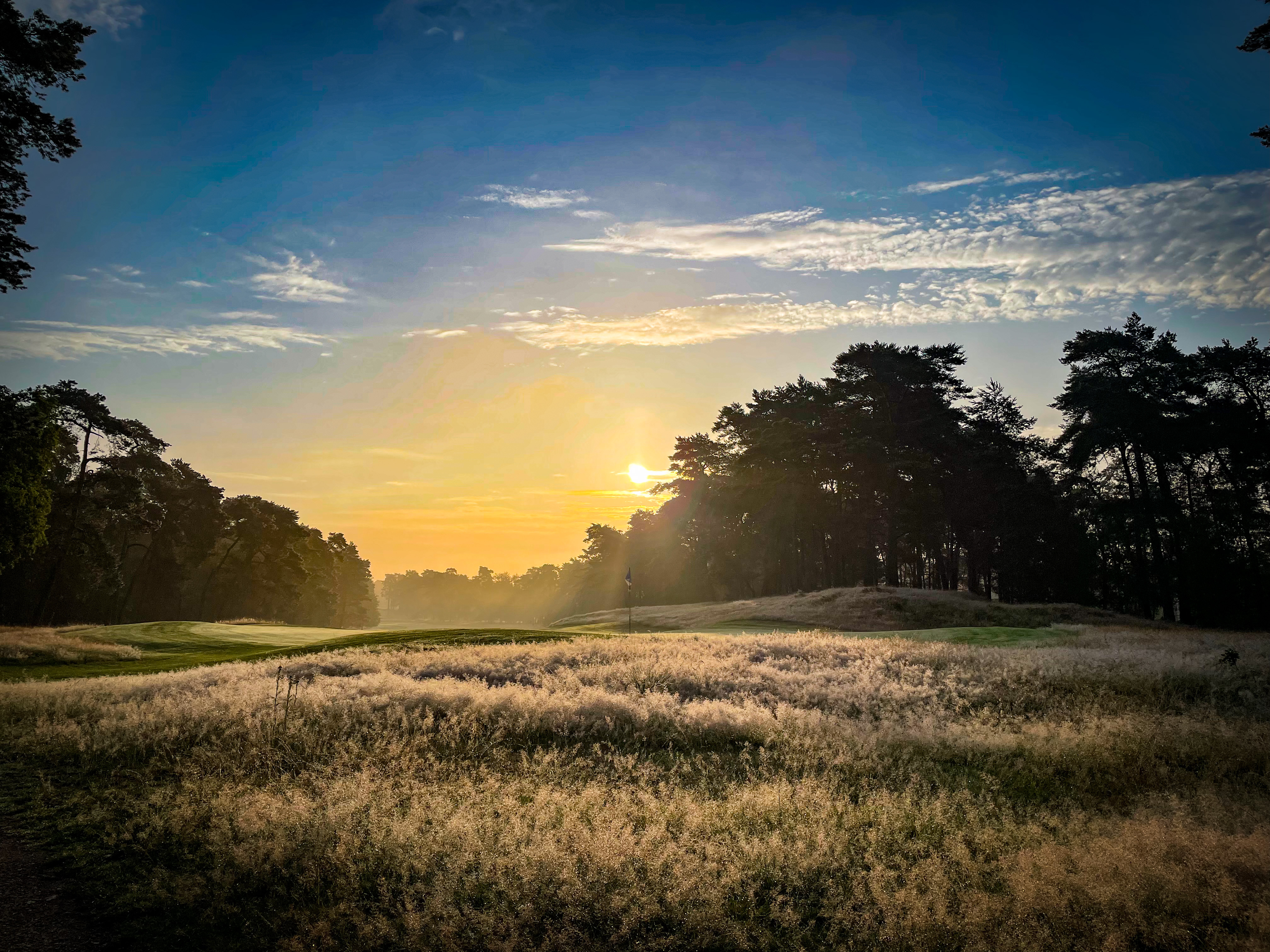 Beeld: Jean Marc Regelink