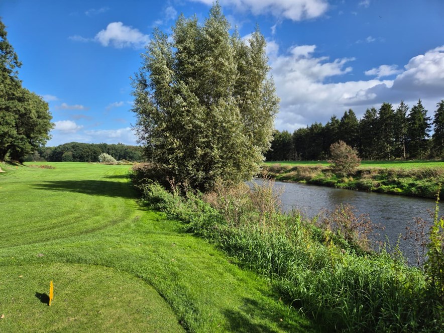 Golfen aan de Ems
