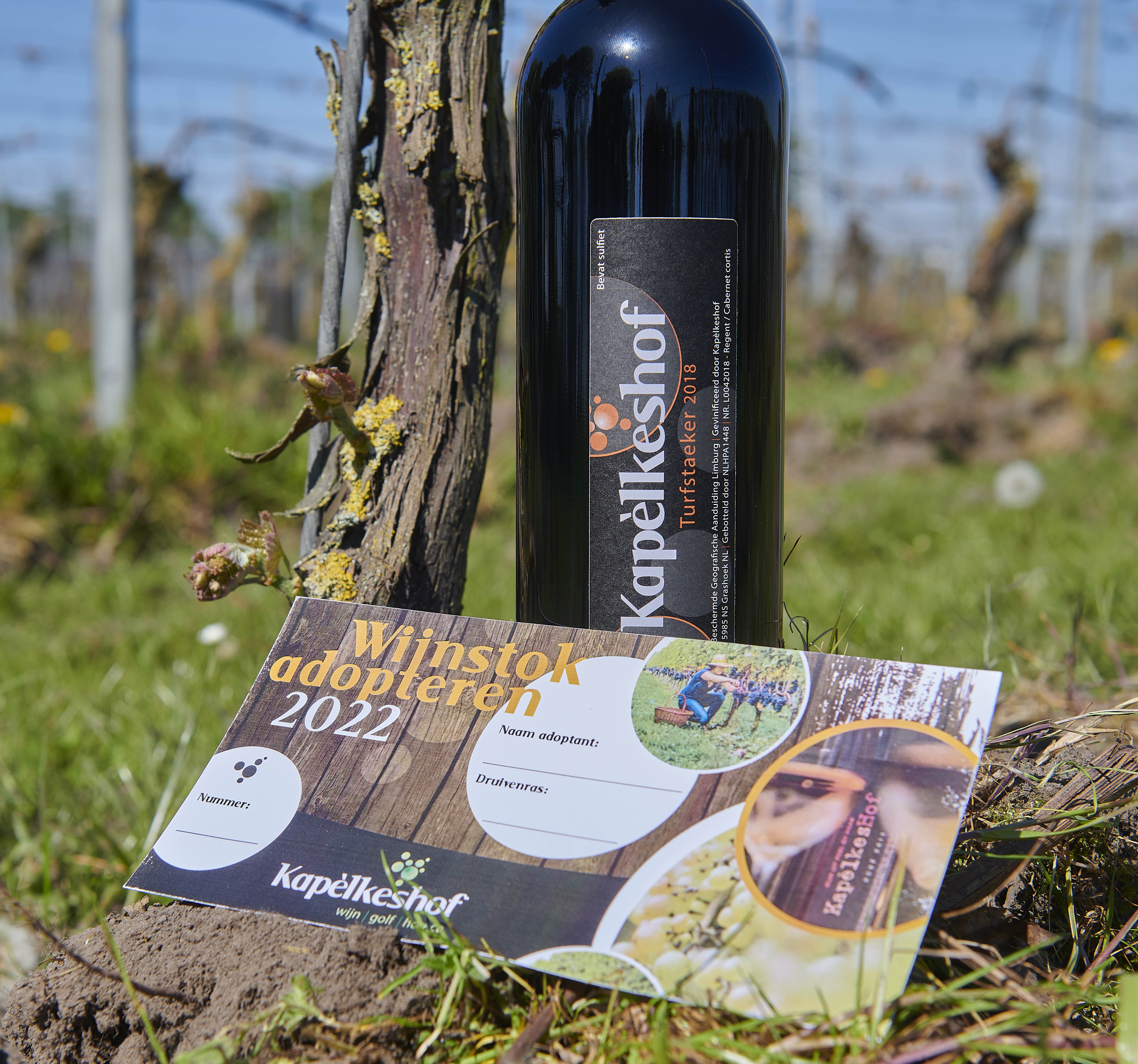 Beeld: Maarten Eekelaar