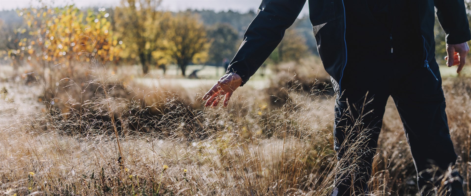 Beeld: Edwin Vermaas