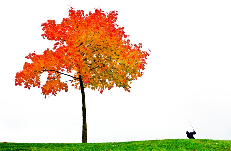 Prachtige kleuren in de herfst op de golfbaan