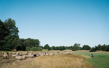 Beeld: KLCK & Approach