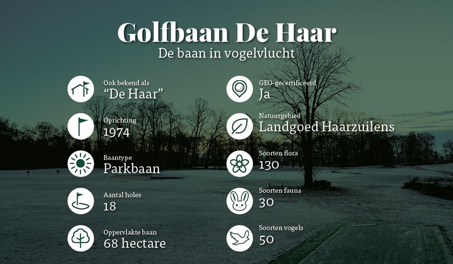 Overzicht Golfclub De Haar
