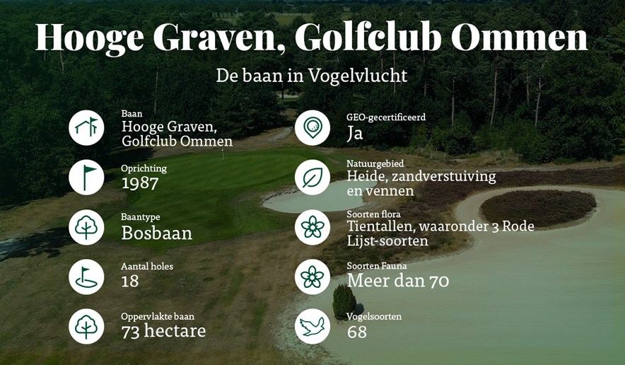 Feiten en cijfers Hooge Graven 