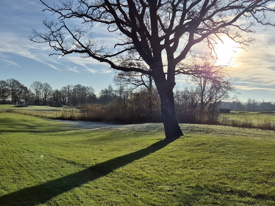 Weleveld Golf