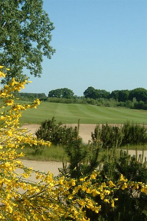 Beeld: Golfclub Lingen Emstal