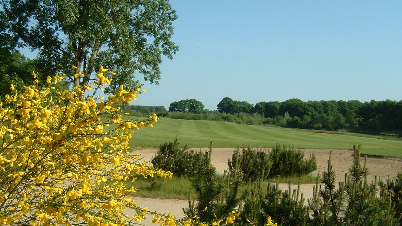 Beeld: Golfclub Lingen Emstal
