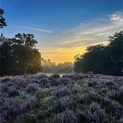 Beeld: Jean-Marc Regelink Greenkeeper De Rosendaelsche Golfclub