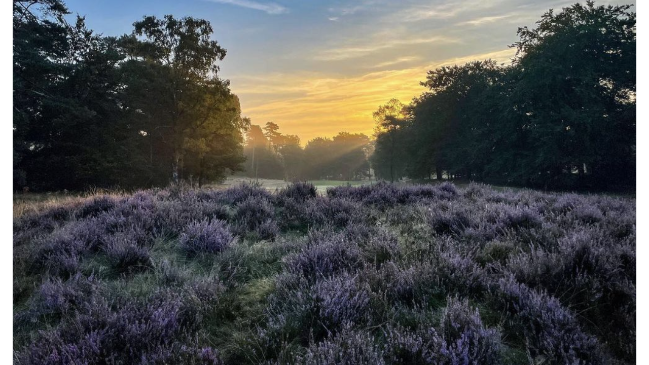 Beeld: Jean-Marc Regelink Greenkeeper De Rosendaelsche Golfclub