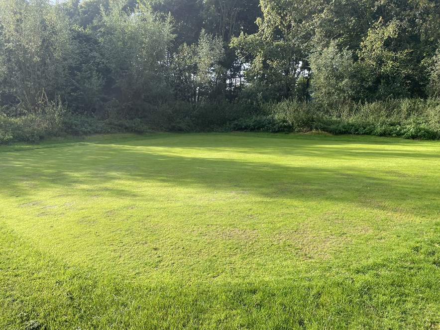 Nursery Almeerderhout