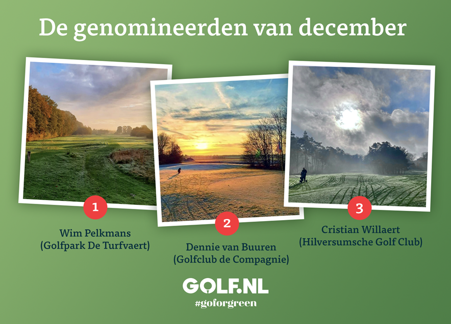 December genomineerden winactie #goforgreen