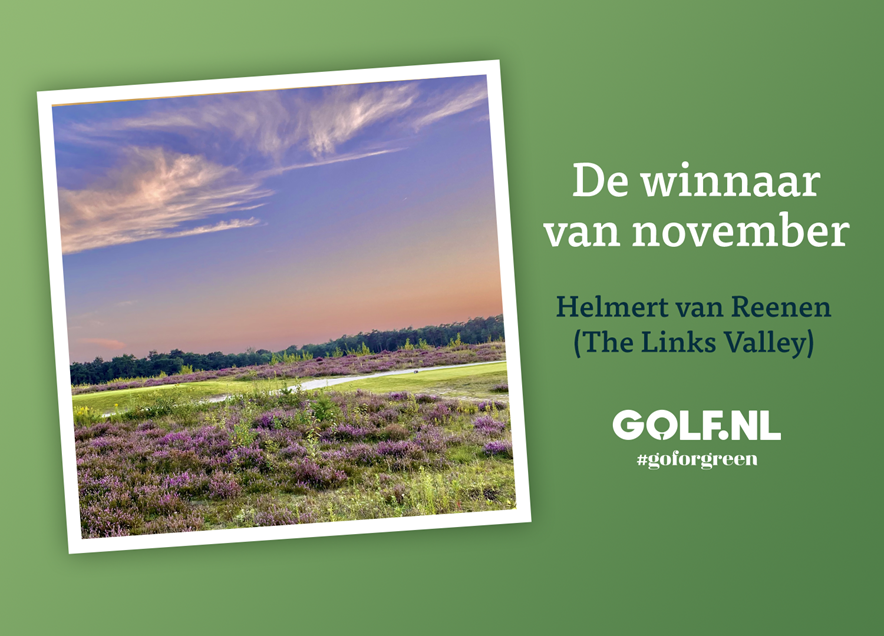 go for green winnaar november