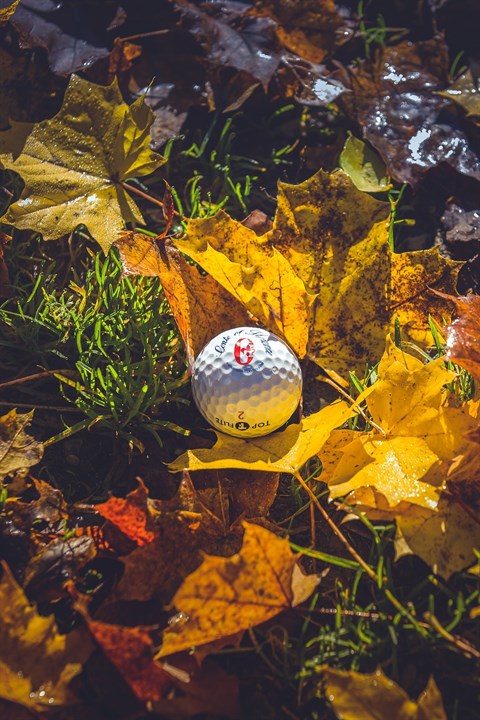 Beeld: Golfsupport.nl