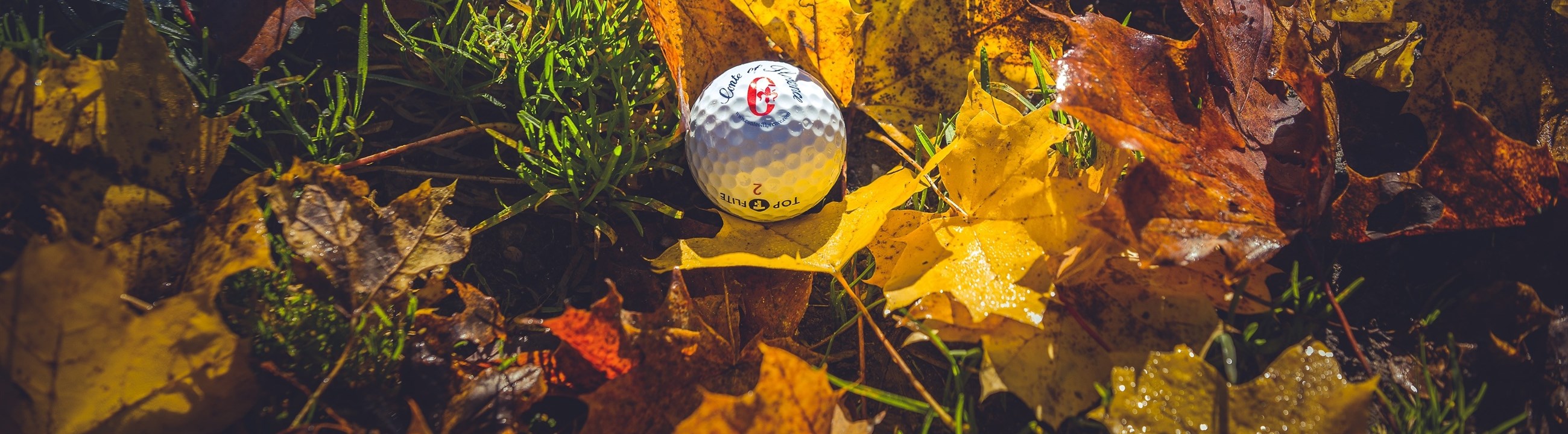 Beeld: Golfsupport.nl
