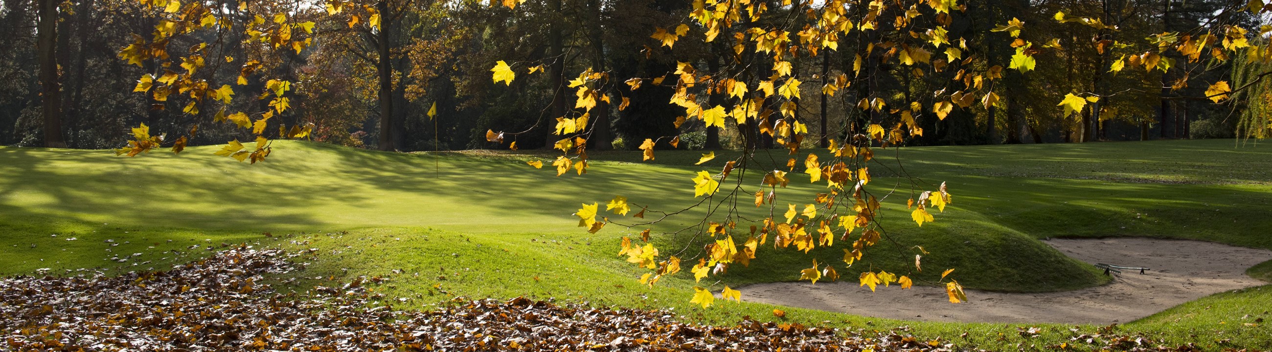 Beeld: Golfsupport.nl