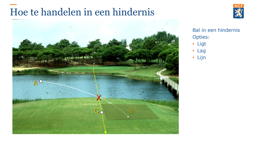 Ligt, lag, lijn