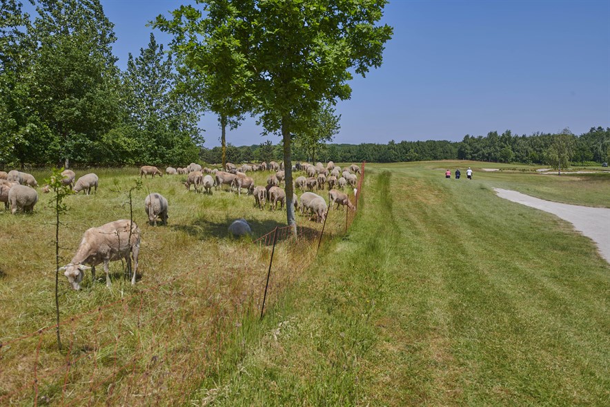 Beeld: Maarten Eekelaar
