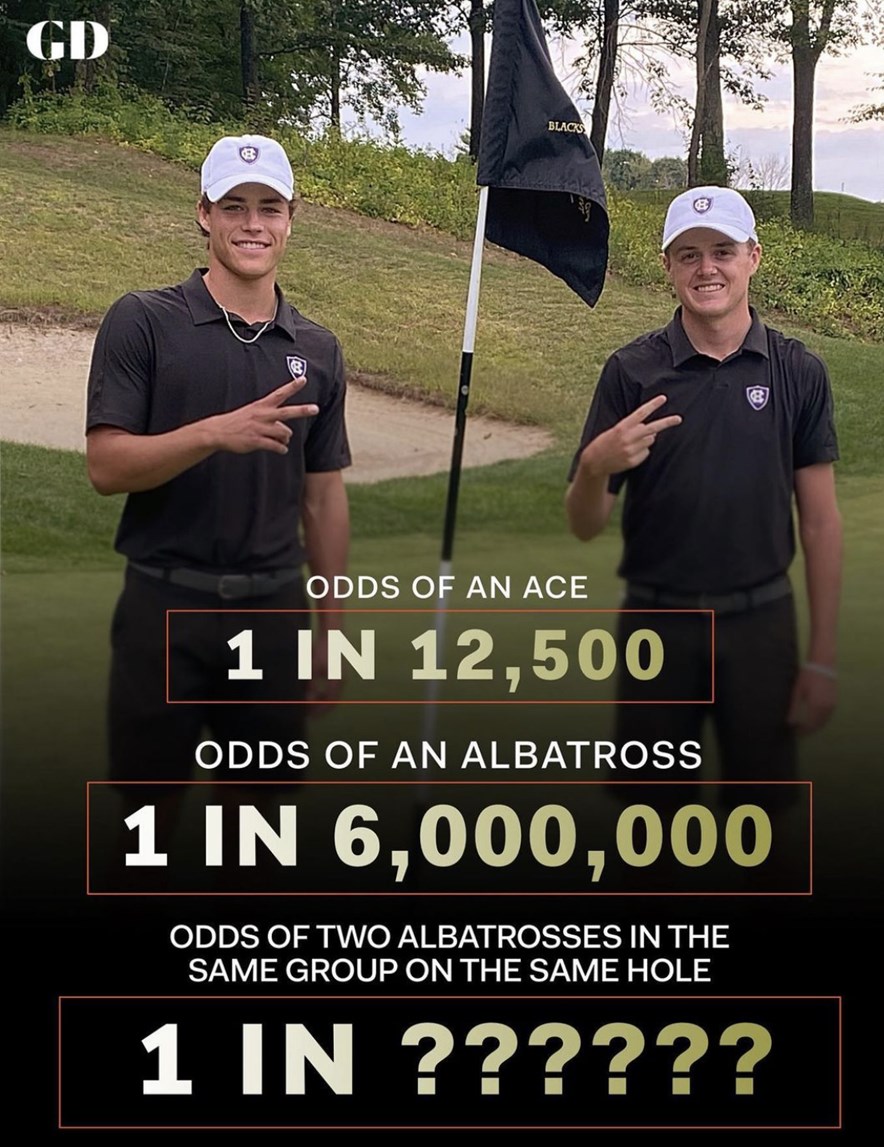 twee keer albatross