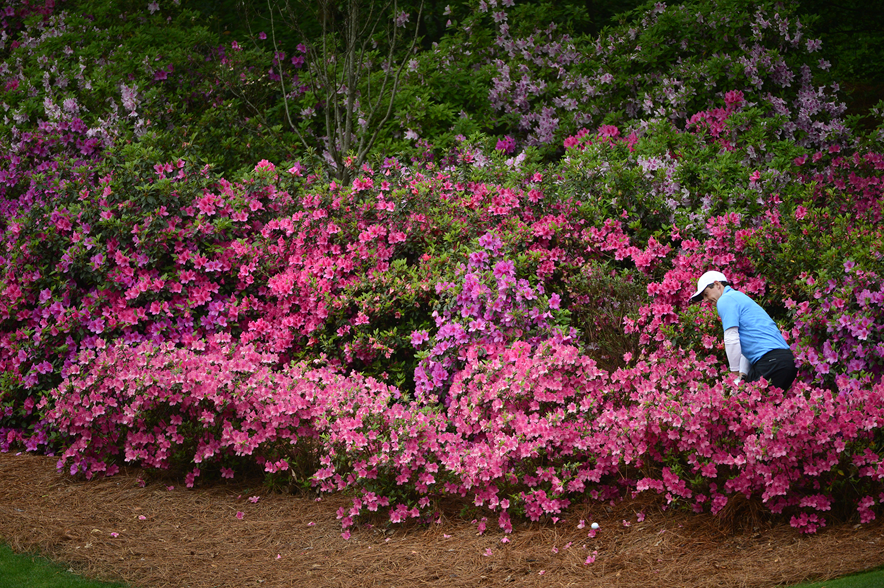 Rory Mcllroy in Azalea's Augusta National