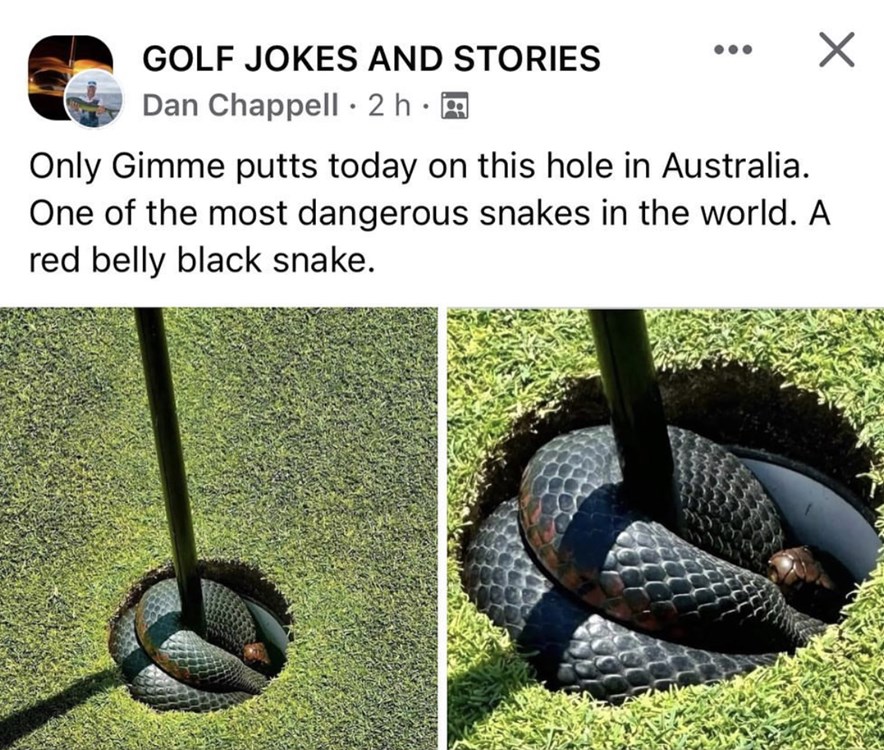 Een slang in de hole