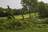 Stormschade op golfbaan