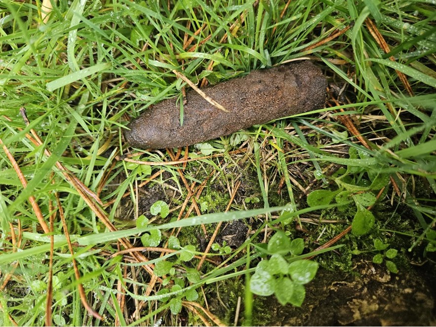 Explosieven Landgoed Nieuwkerk