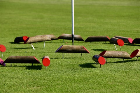 Beeld: Janneke Oosterwechel