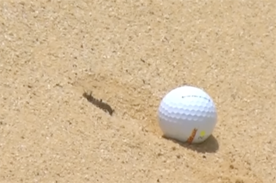 Beeld: Instagram DP World Tour