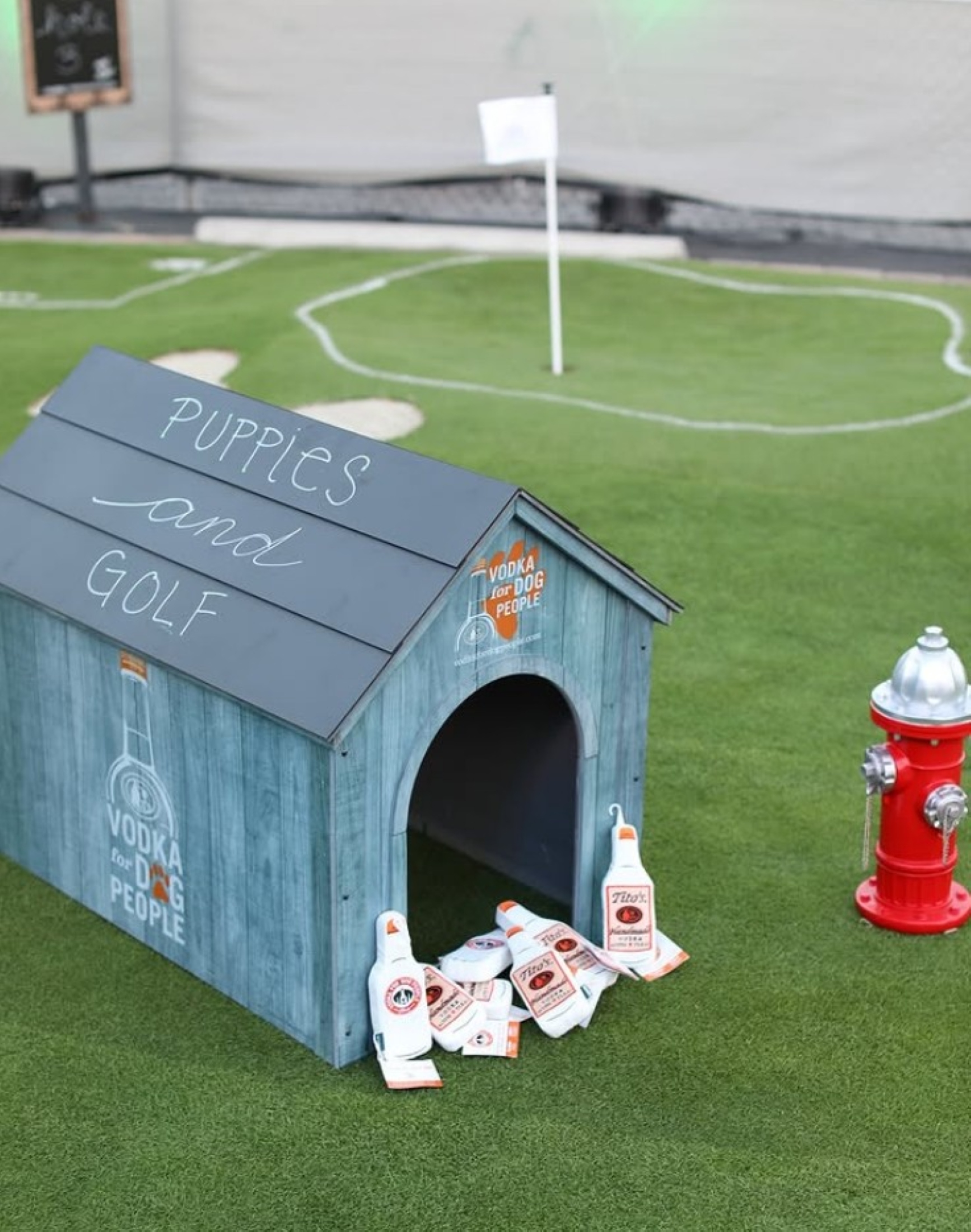 Beeld: Puppies and golf