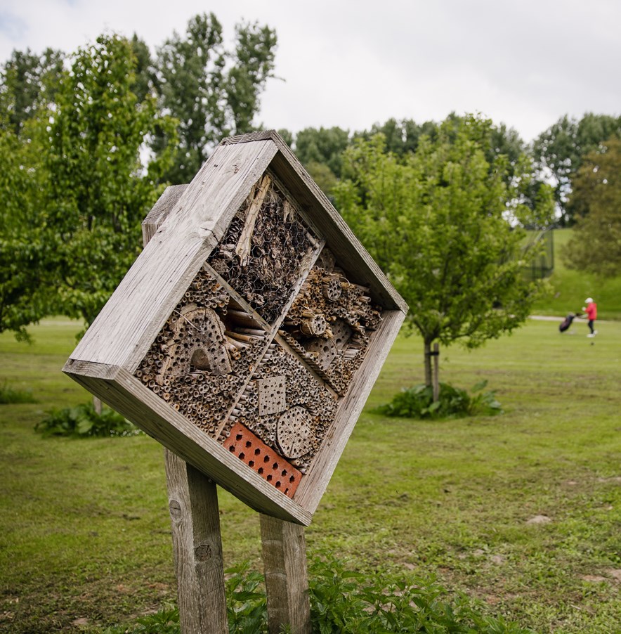 Bijenhotel tussen hole 13 en 14 Hooge Rotterdamsche