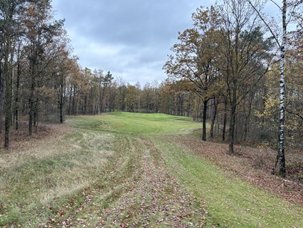 The Fox par-3