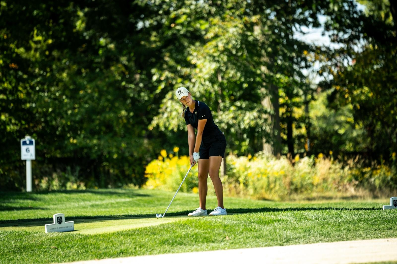 Beeld: Wake Forest Athletics