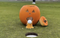 Golf tijdens halloween