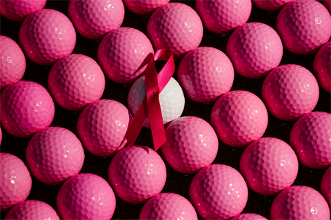 Beeld: Meisje met de camera