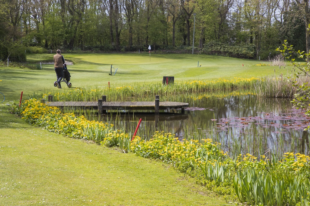 golfbaan tespelduyn