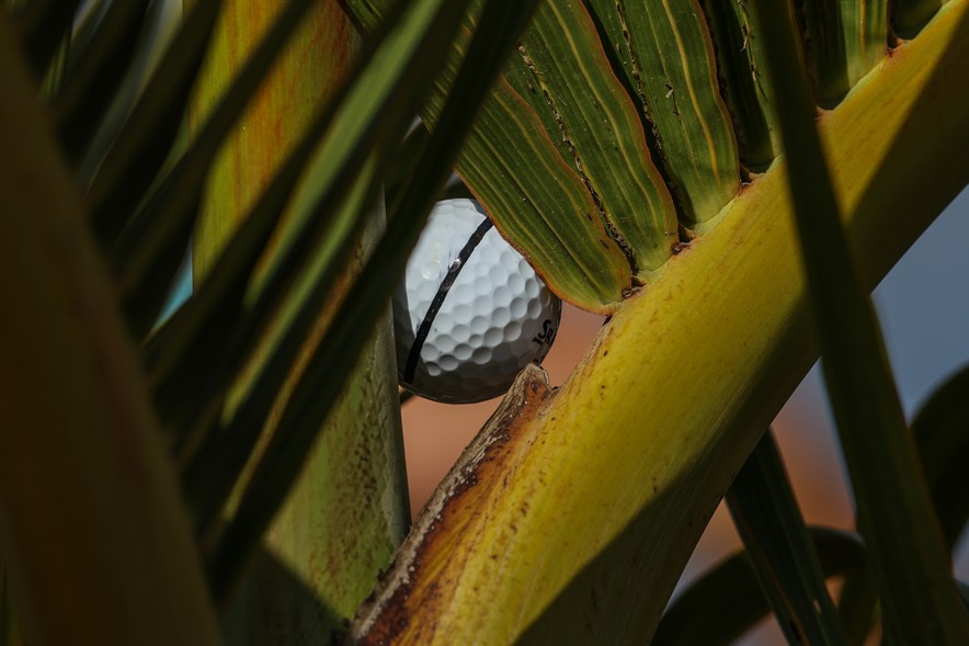 Beeld: Golfsupport.nl