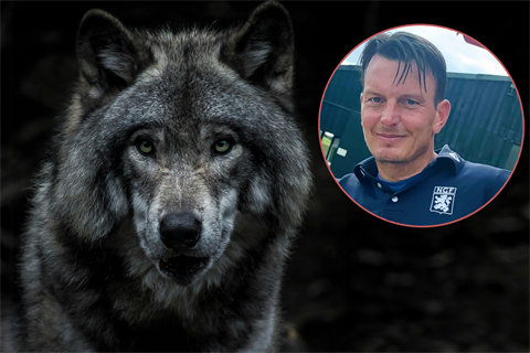 Jurjen Eerdmans over de wolf op de Noord Nederlandse Golfbaan in Glimmen