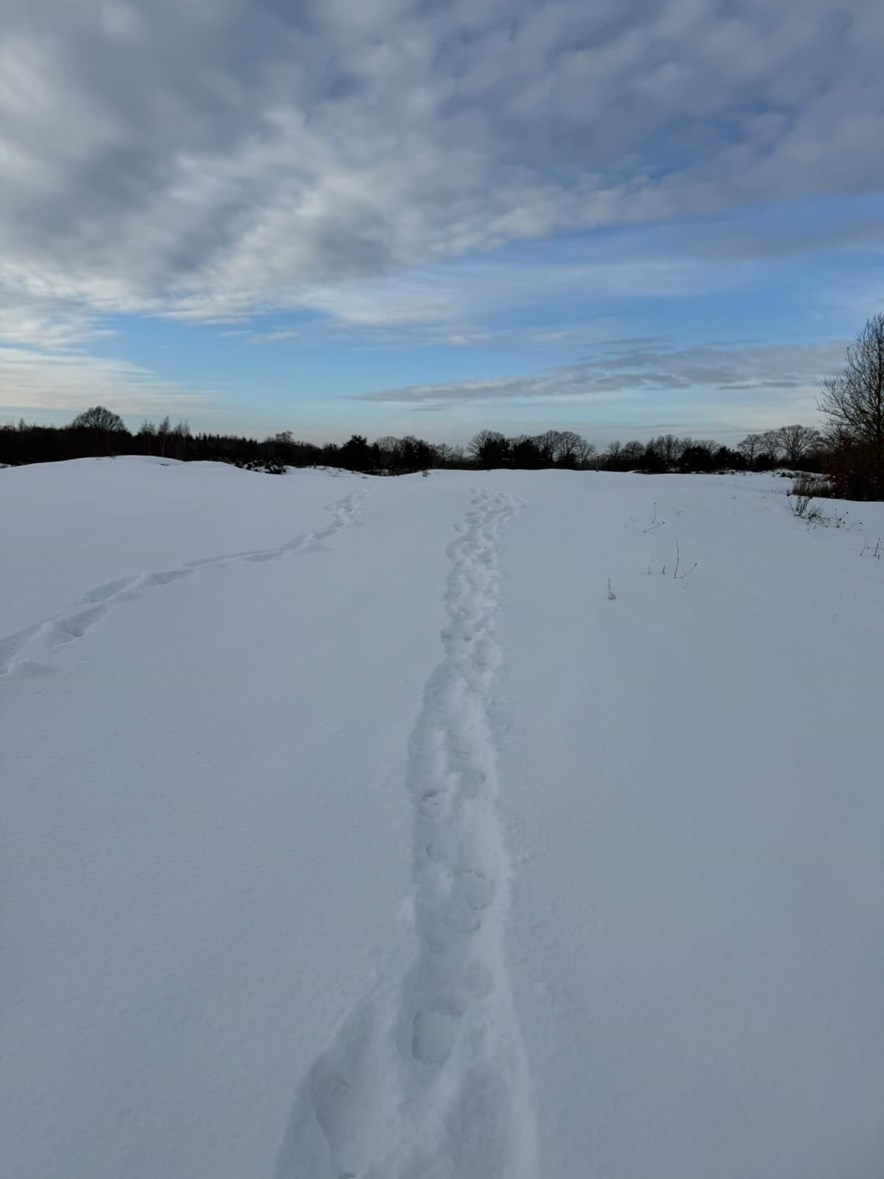 De stippelberg golfbaan onder de sneeuw