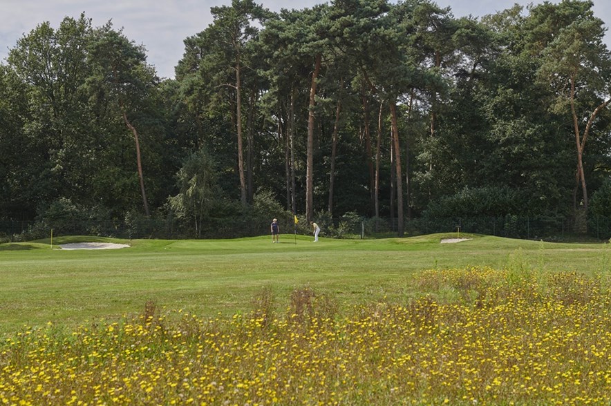 valkenswaardse golfclub
