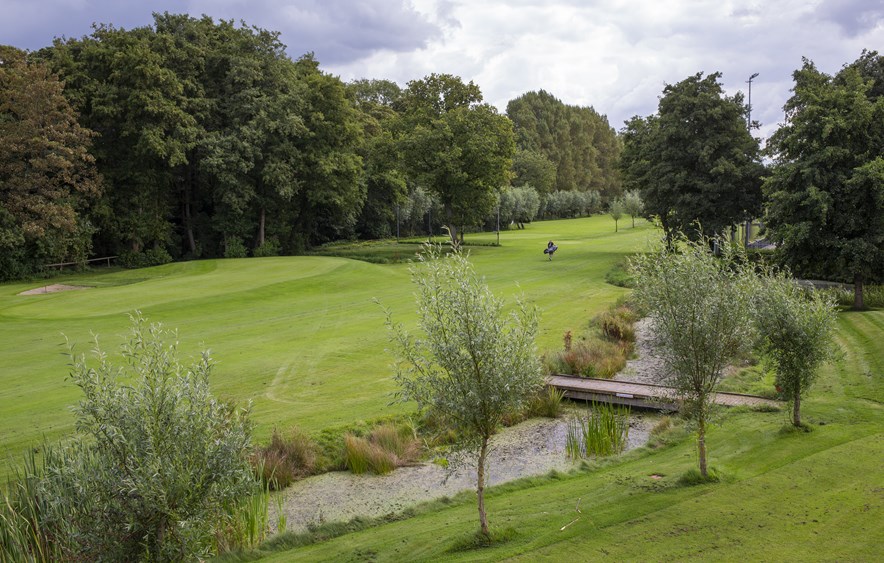 Haagsche Groen-Geel