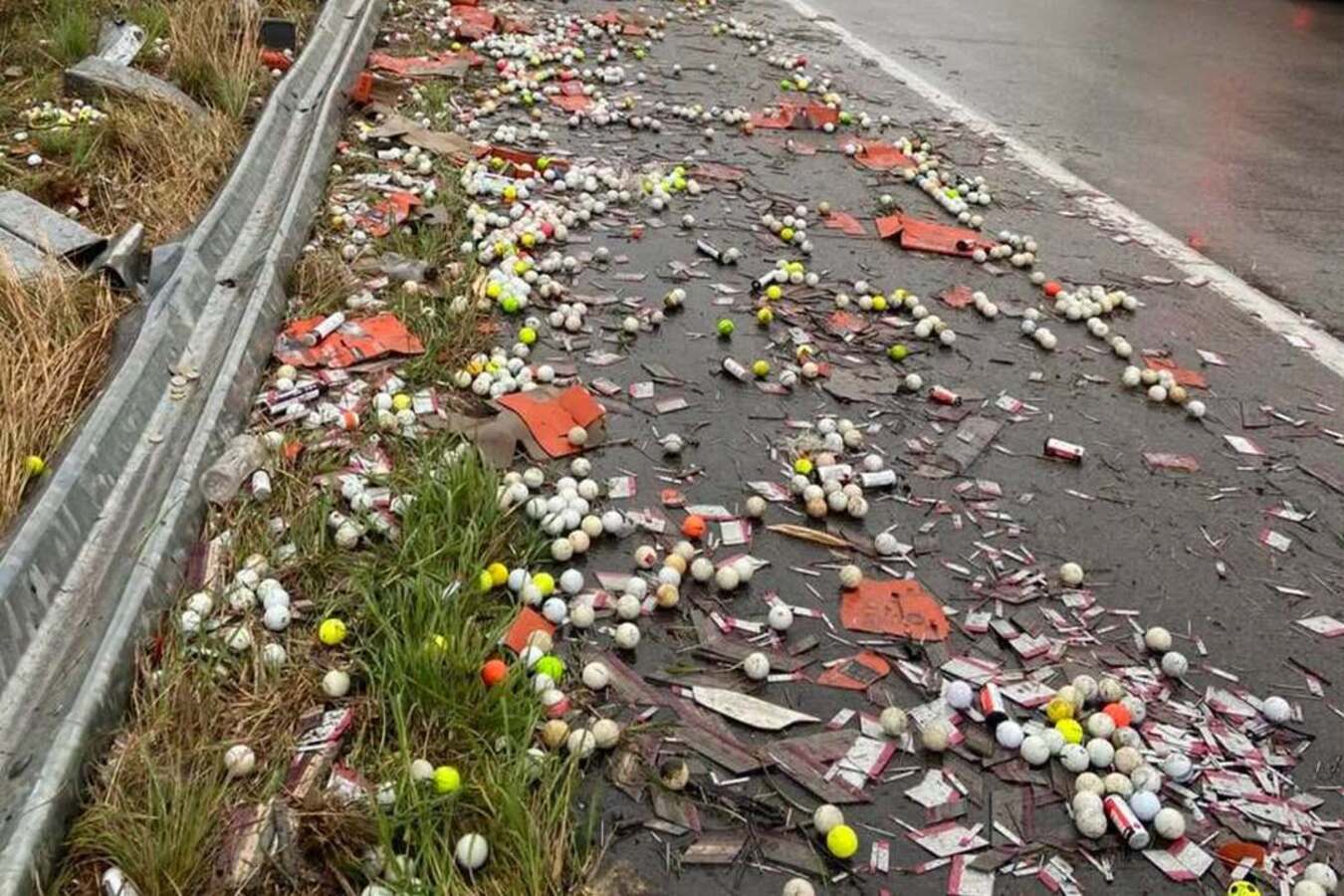 Beeld: 9News Sydney