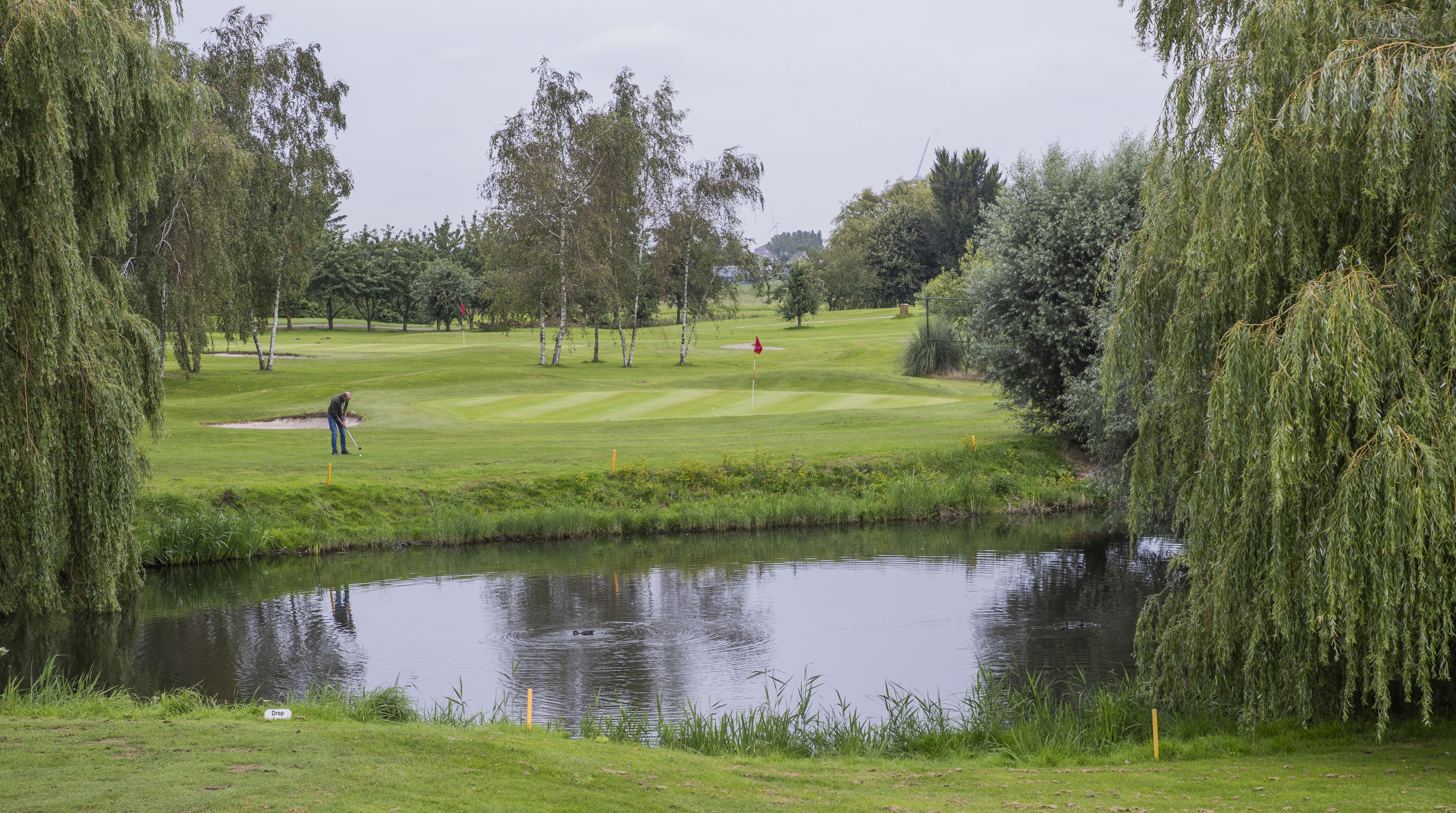 Beeld: Koen Suyk